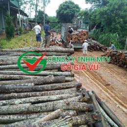 Gỗ Xoan Tại Bình Dương 2
