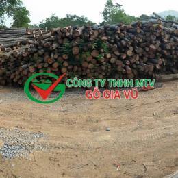 Gỗ Xoan Tại Bình Dương 1