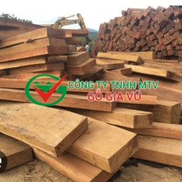 gỗ xoan vườn tại Bình 