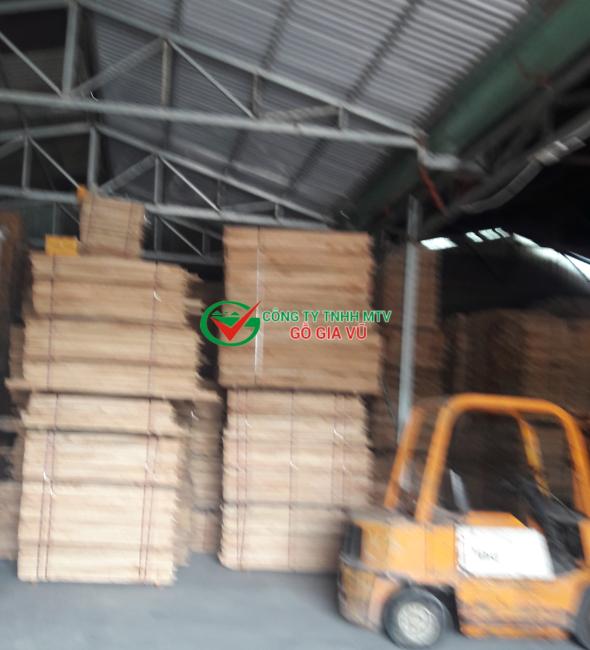 Gỗ Xoan Vườn giá rẻ