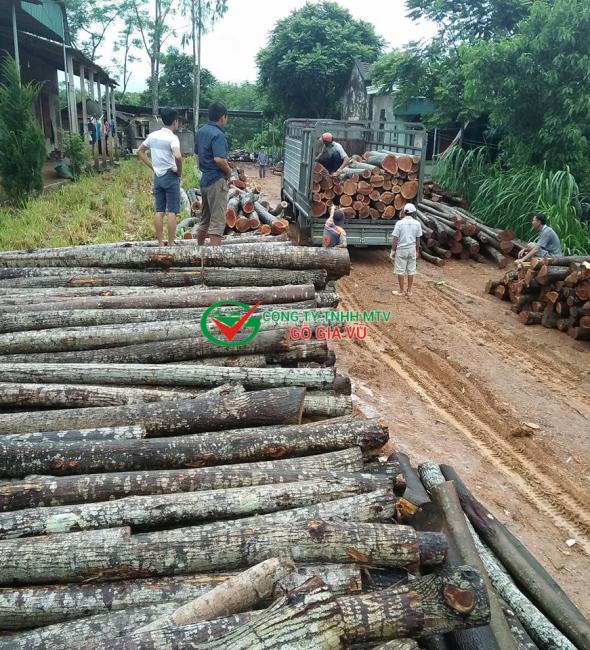 Gỗ Xoan Tại Bình Dương 2