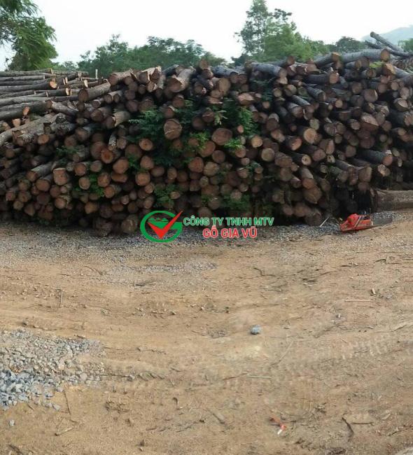 Gỗ Xoan Tại Bình Dương 1