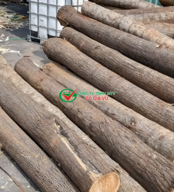 Gỗ xoan tròn lang ver neer